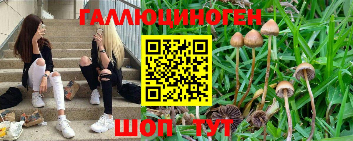 Псилоцибиновые грибы Magic Shrooms  Вход с VPN  Волжский 